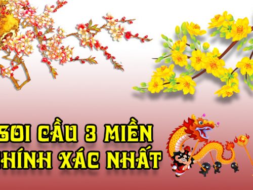 kết quả xs dự đoán chính xác song thủ lô mn